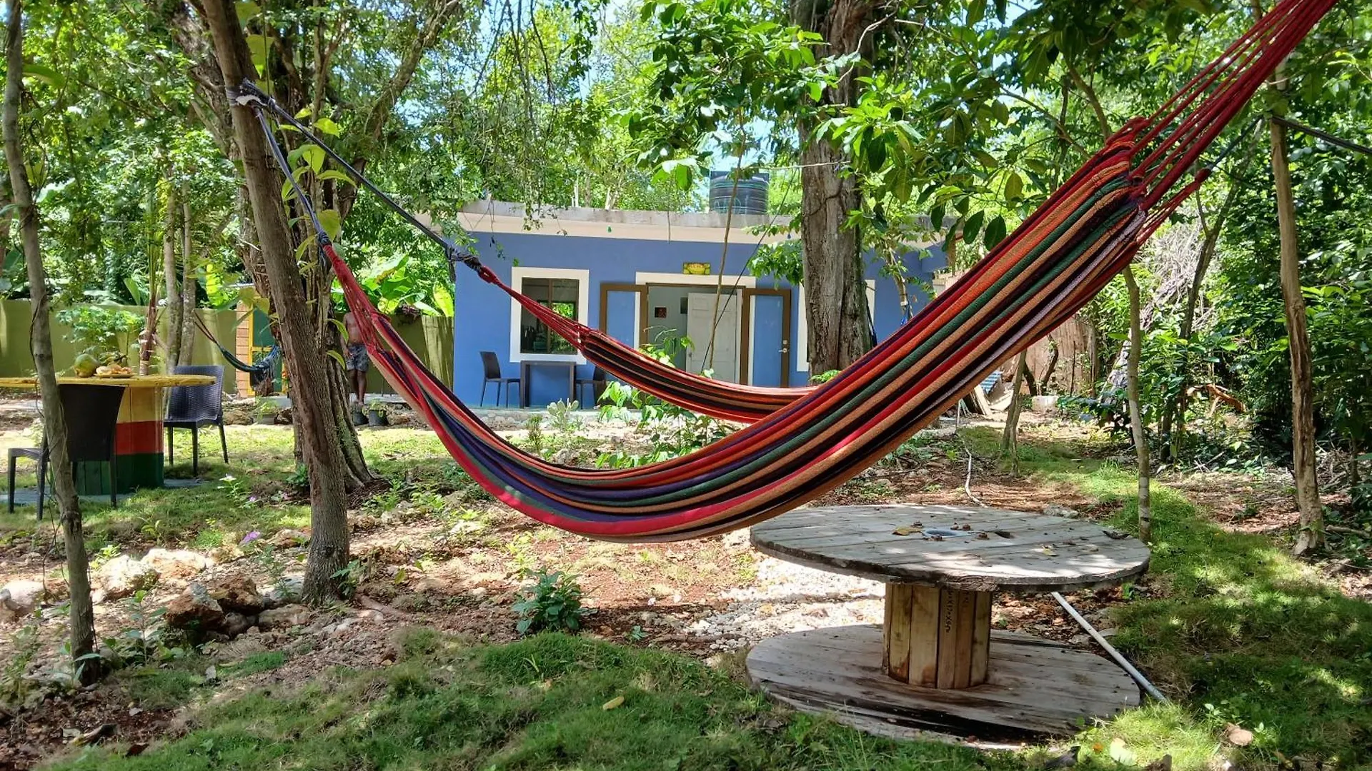 Willa Mystic Moment Negril Jamajka
